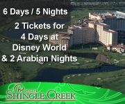 Disney World & Dinner Show Packages